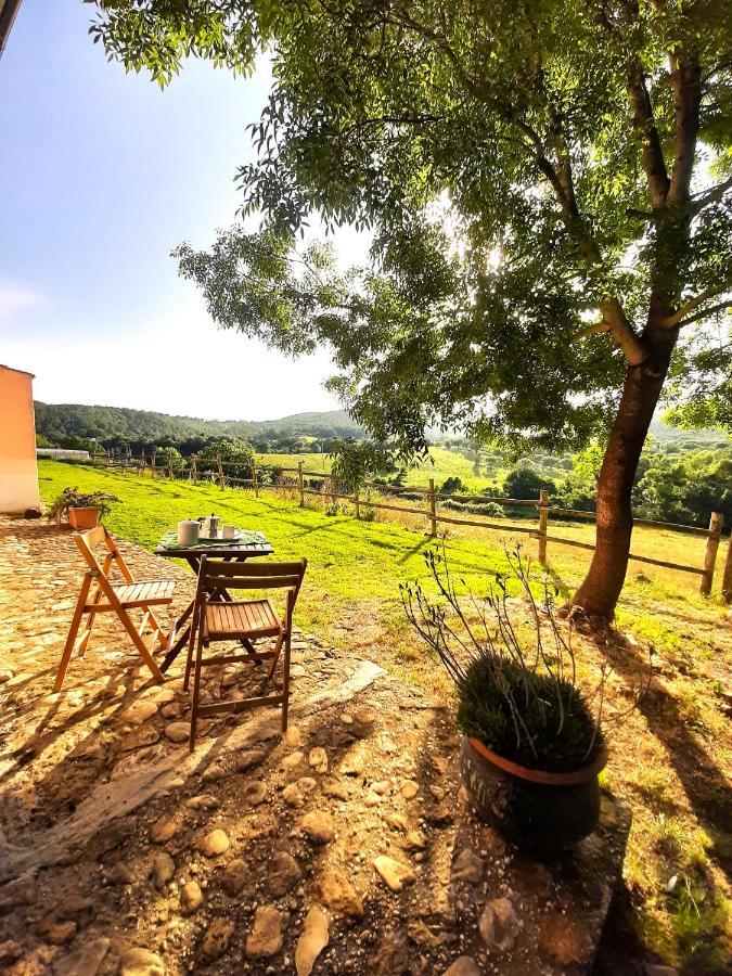 Agrihouse Villa Bracciano  Exterior photo