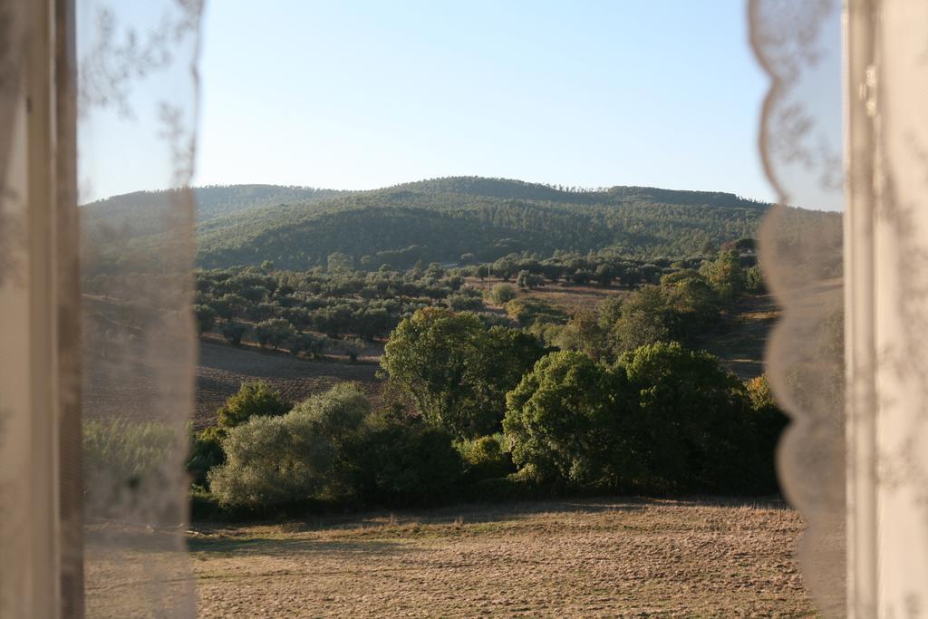 Agrihouse Villa Bracciano  Room photo